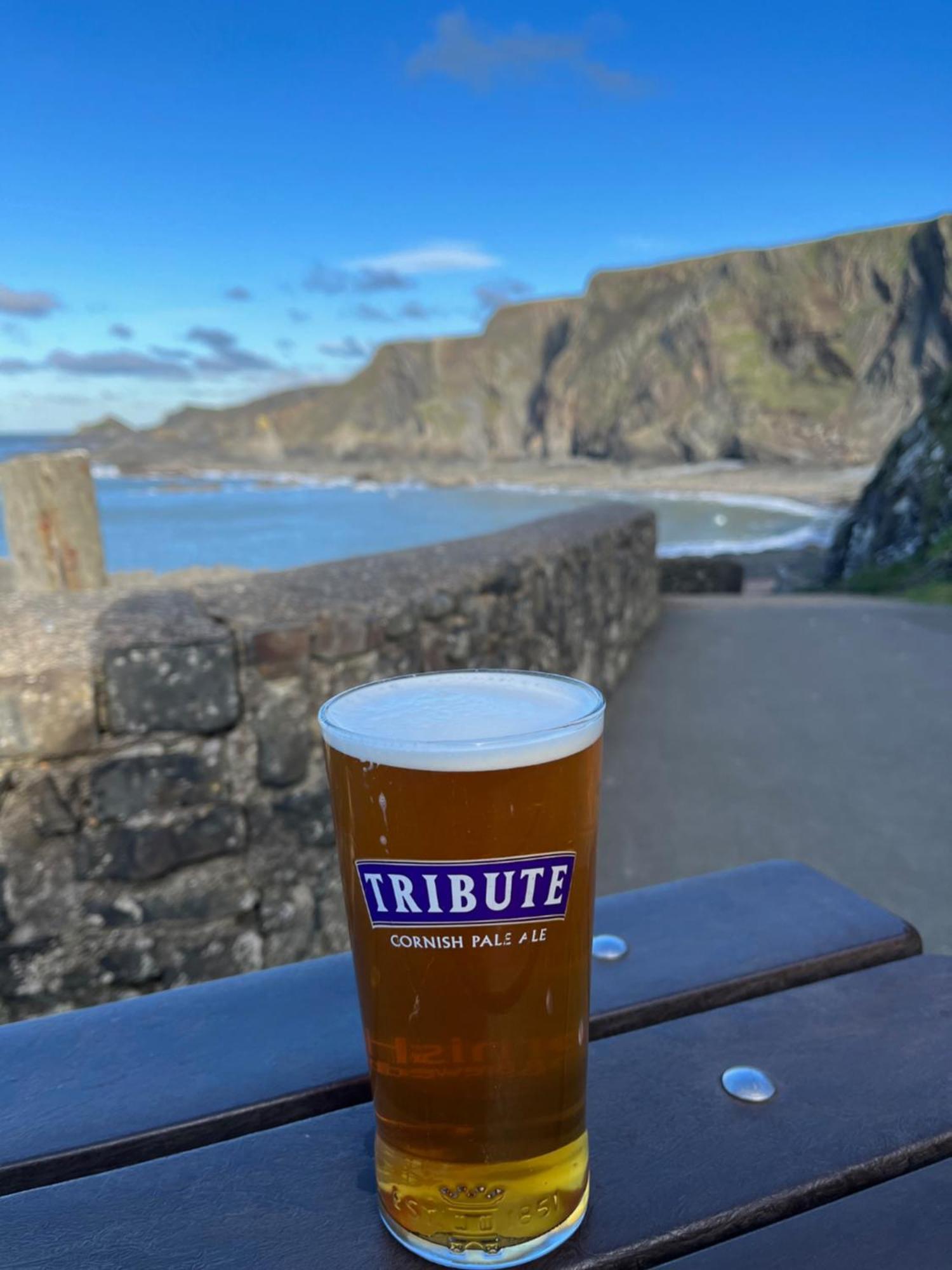 Hartland Quay Hotel מראה חיצוני תמונה