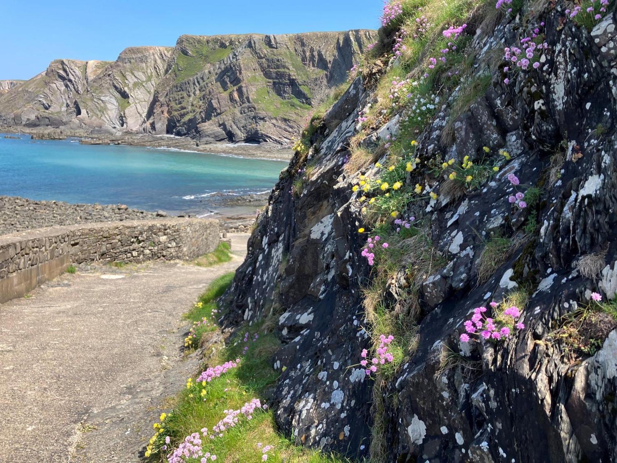 Hartland Quay Hotel מראה חיצוני תמונה