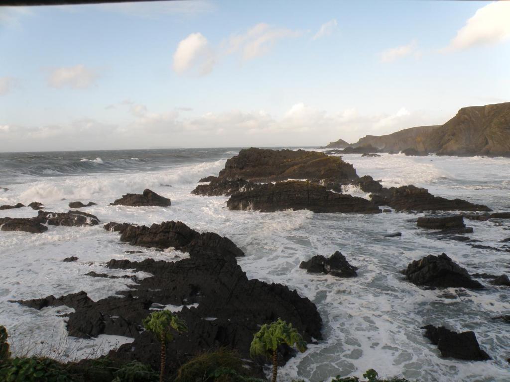 Hartland Quay Hotel מראה חיצוני תמונה