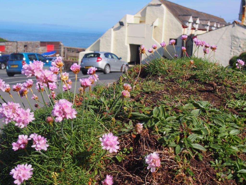 Hartland Quay Hotel חדר תמונה
